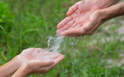 LA IMPORTANCIA DEL AGUA EN EL PLANETA